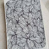 son original - Doodle Little