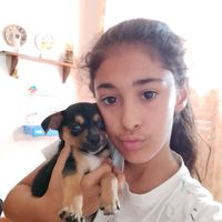 melissacalin0
