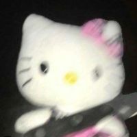ni_kitty_