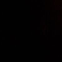 _nedelcheva111_