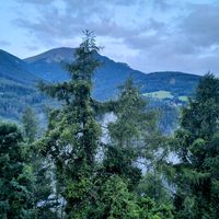 original sound - CrackedTablet