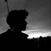 الصوت الأصلي