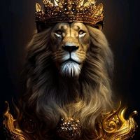 lil_kingx