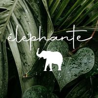 elephante.bucharest