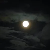 original sound - viralsounds.1