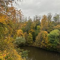 cristina_as_a_corporate