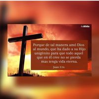 sonido original