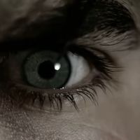 vampirediaresfan34