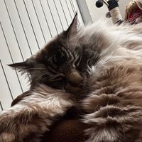 Give me all yo numbers so I can phone Sandy