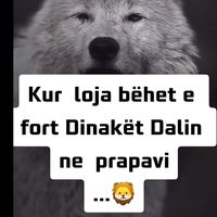 Sfond