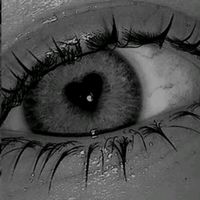 sono.._io.noe