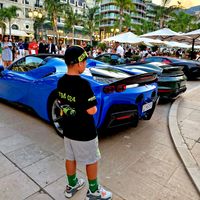 ray.loris_cars