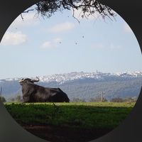 salvador_lagunajanda