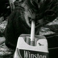 Originalton