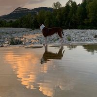 io.sonoildiodella.guerra