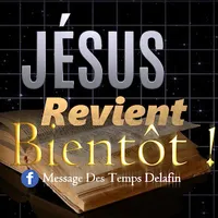 original sound - message.destemps.delafin