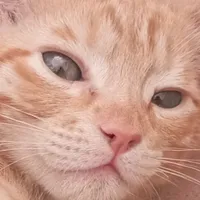 original sound - victooormp