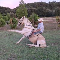 ramonfernandez1890