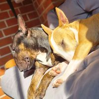 Am Arsch vorbei geht auch ein Weg