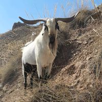 miguel.angel.fern298