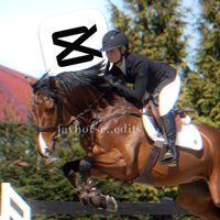 favhorse_