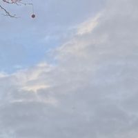 serenerk_