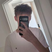 niklaswrn