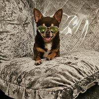 kathleencollinscollin014