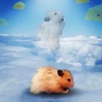 USE THIS SOUND IF UR GAY