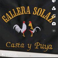 gallera_mercheros_sr
