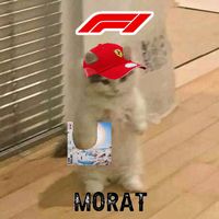confort.morat.f1