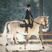 original sound - equinesong