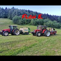 floh_e