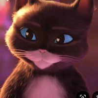 kittyzarpasuaves