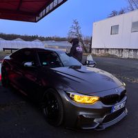 husky__matze