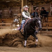 gomeier.reininghorses