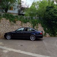 locos_por_los_coches_7