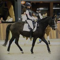 horses.emil