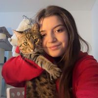 niki_awareness