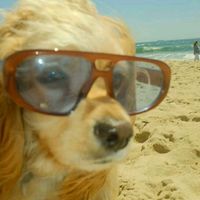 2000sslideshowsstories