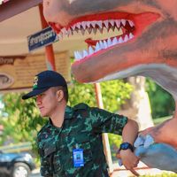 original sound - จ่าโต้ง Pu