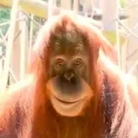 original sound - seaniscool4