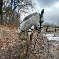 equistrian.noami