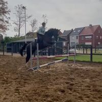 origineel geluid