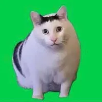 original sound - mimimumwagememes