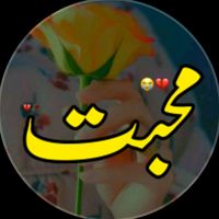 anum_writes813