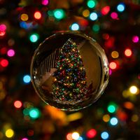 weihnachtsmomente