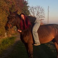 _equestrian.lrx