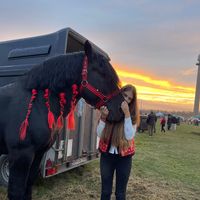 pop.sorina.soricelu77