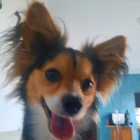 original sound - lupen47